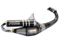 Auspuff Polini Racing Evolution 50 TWD für Derbi, Gilera, Piaggio 50ccm