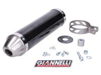 Endschalldämpfer Giannelli Carbon für Aprilia RX, SX 50 06-15, Derbi Senda 50 RX, SM X-Race, X-Treme 09-15